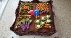 veg-plot-birthday-cake_gill-shaw